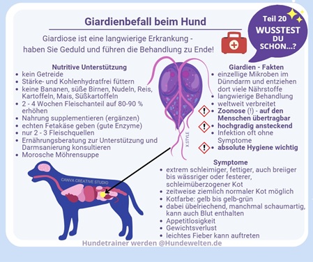 Wusstest Du schon? Giardienbefall beim Hund