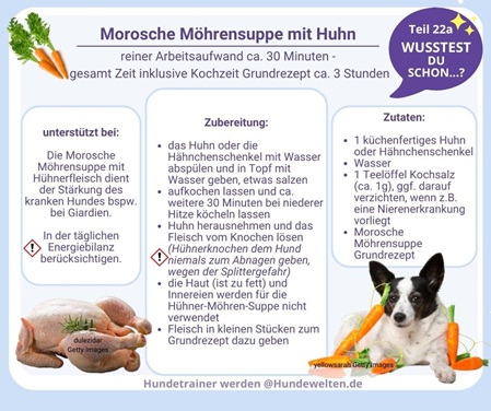 Wusstest Du schon? Morosche Möhrensuppe - Huhn