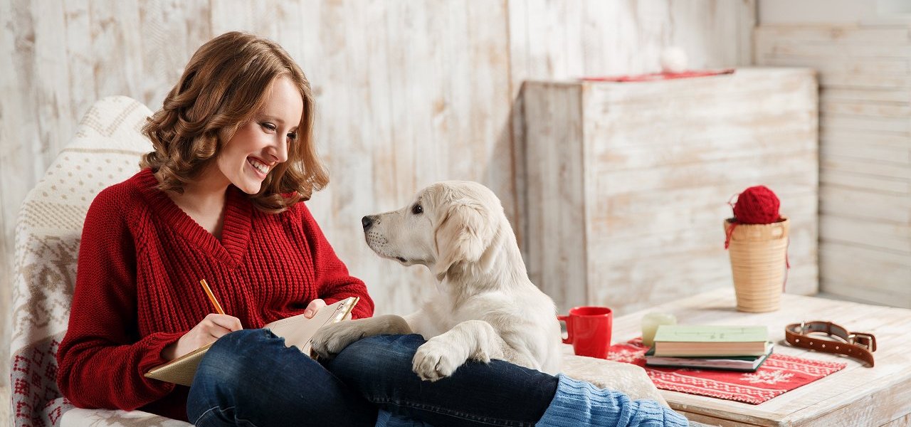 Service für Hundehalter