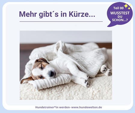 Mehr in Kürze