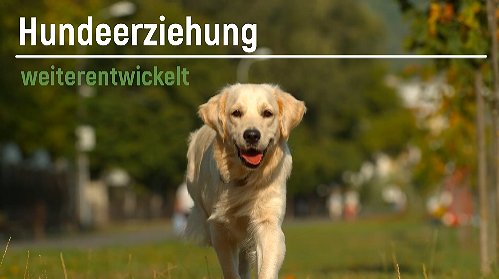 Hundeerziehung weiterentwickelt