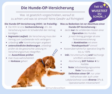 Die OP-Hundeversicherung