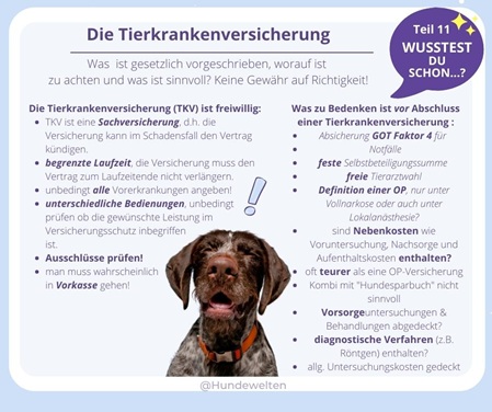 Wusstest Du schon? Tierkrankenversicherung