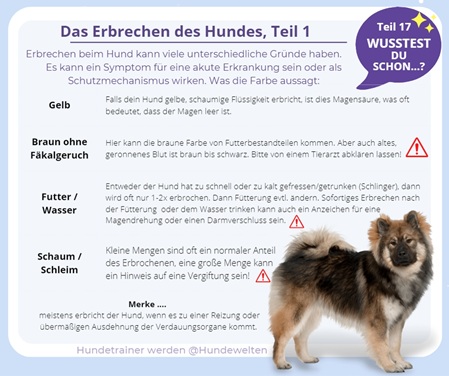 Wusstest Du schon? Erbrechen des Hundes 1