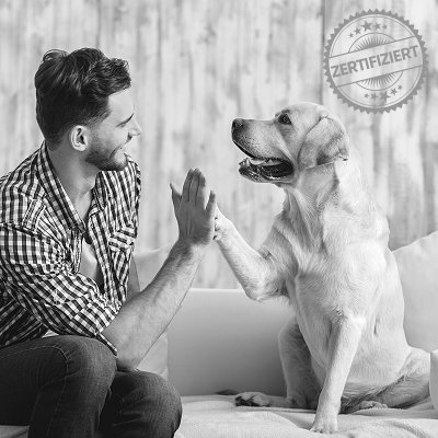 Anmeldung Hundetrainer Ausbildung SDTS®