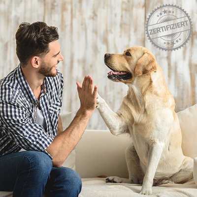 Hundetrainer Ausbildung SDTS®